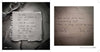 Notes from Your Therapist: Allyson Dinneen