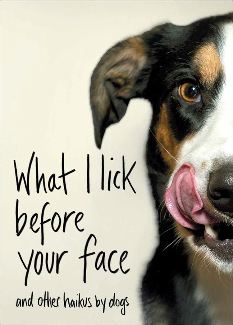 Where I lick  before your face
