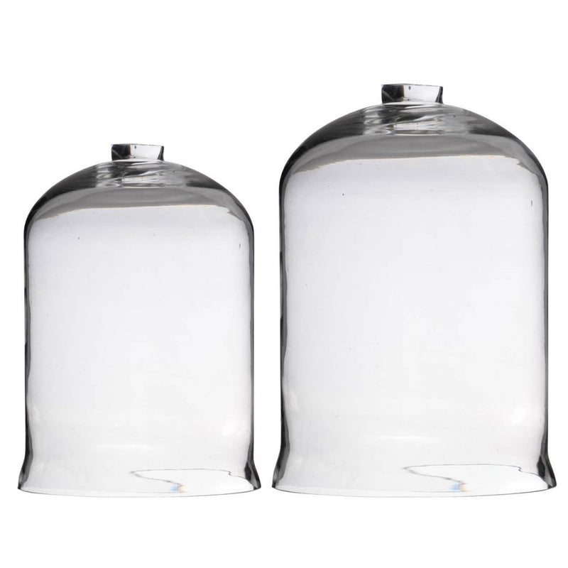 Glass Dome Set of 2