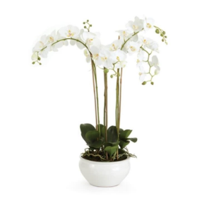 5" Orchid Glass Vase