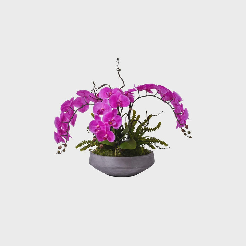 24" Orchid Display