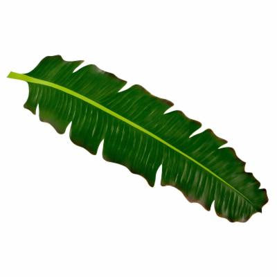 Balihai Runner - Fern